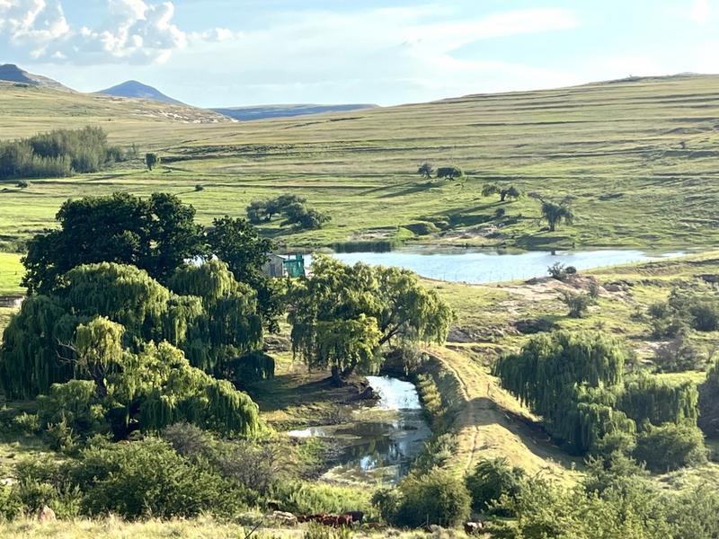 0 Bedroom Property for Sale in Fouriesburg Free State